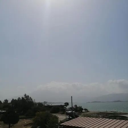 Yaz 페티예